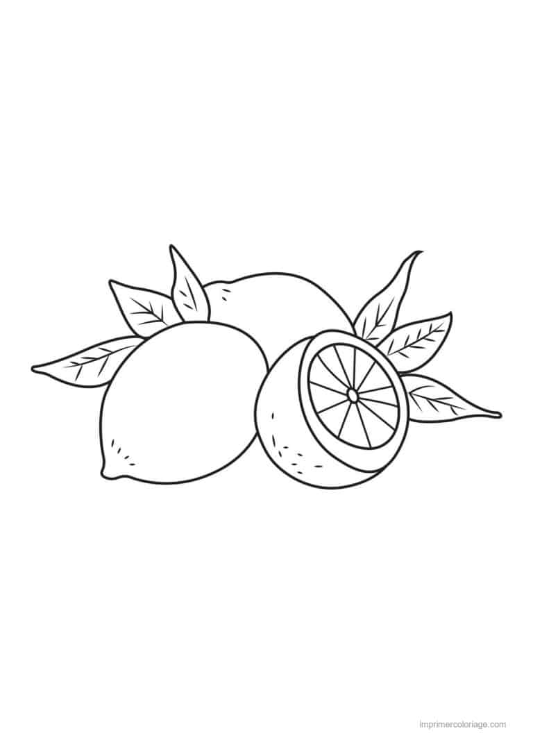 coloriage citron citron vert entier et coupe - dessin gratuit &agrave; imprimer