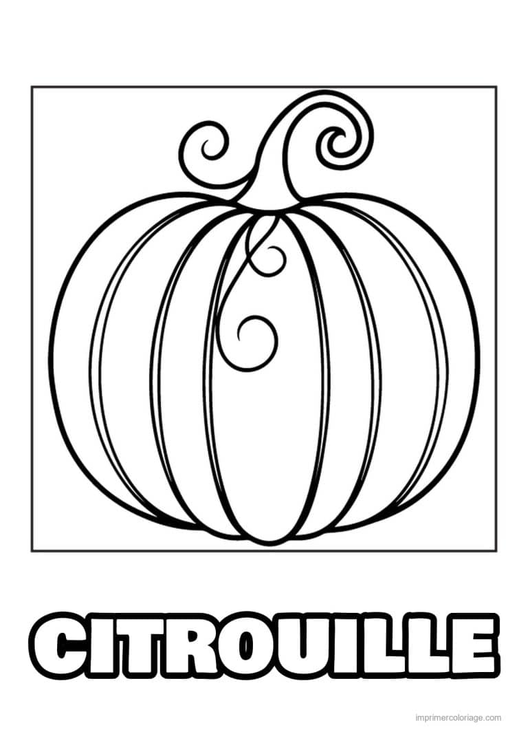 coloriage citrouille potiron citrouille a la tige enroulee - dessin gratuit &agrave; imprimer