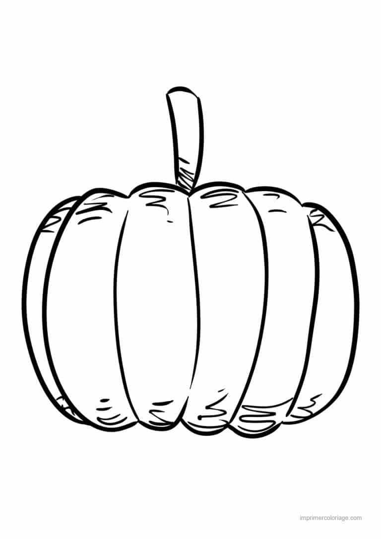 coloriage citrouille potiron citrouille au trait epais - dessin gratuit &agrave; imprimer