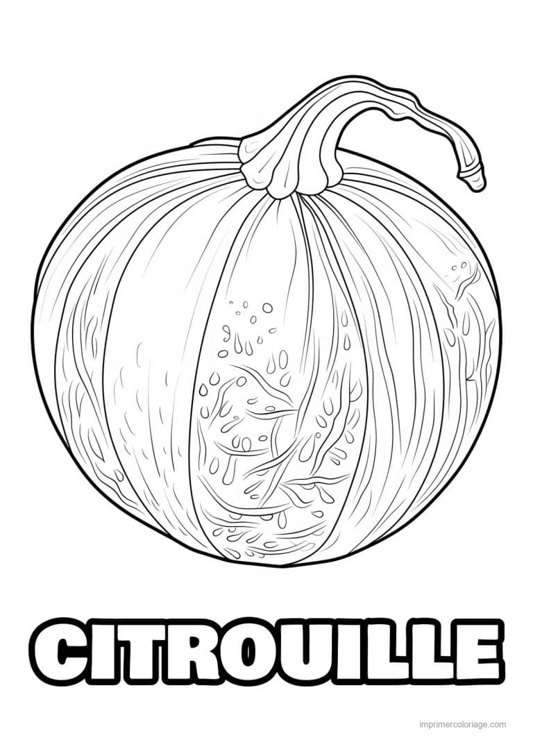 coloriage citrouille potiron citrouille cotelee 13 - dessin gratuit &agrave; imprimer