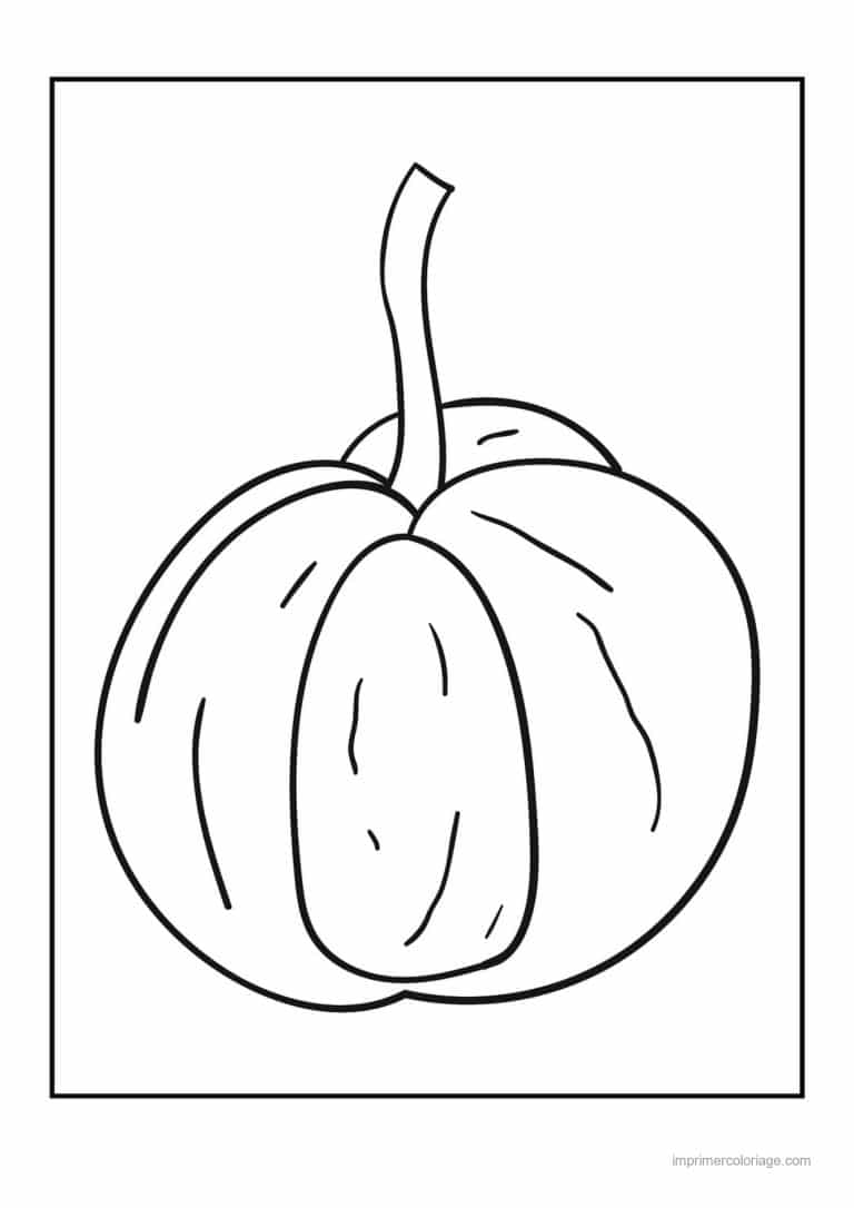 coloriage citrouille potiron citrouille cotelee 4 - dessin gratuit &agrave; imprimer