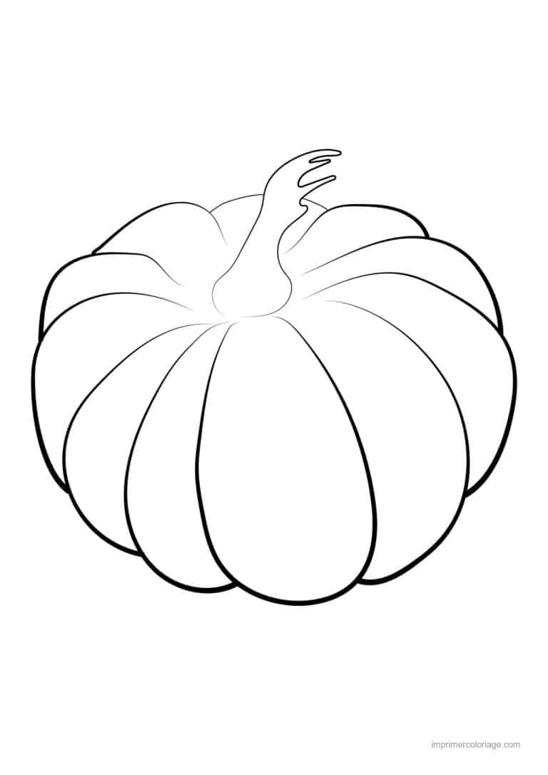 coloriage citrouille potiron citrouille cotelee au trait epais - dessin gratuit &agrave; imprimer