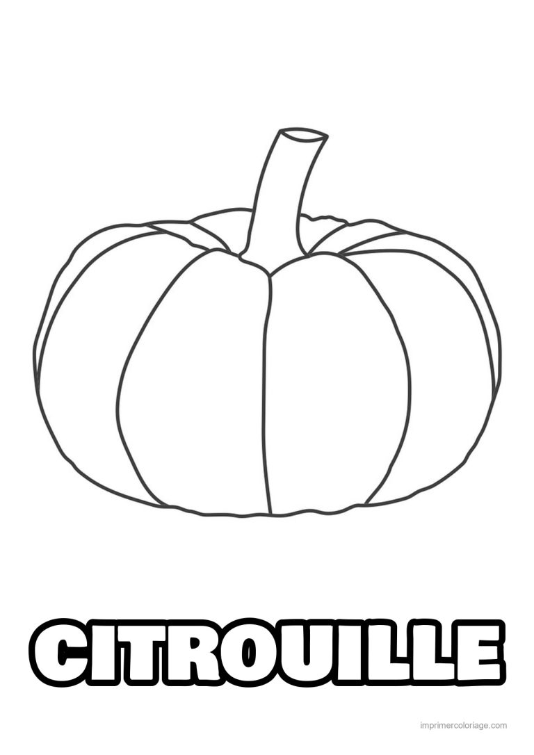 coloriage citrouille potiron citrouille et sa tige - dessin gratuit &agrave; imprimer