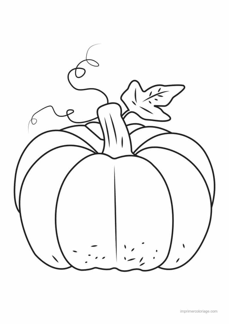 coloriage citrouille potiron citrouille et sa vrille - dessin gratuit &agrave; imprimer