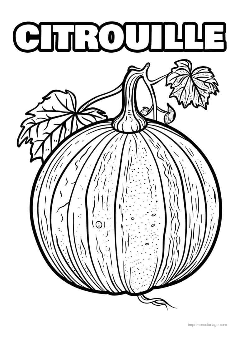 coloriage citrouille potiron citrouille gravee 85 - dessin gratuit &agrave; imprimer