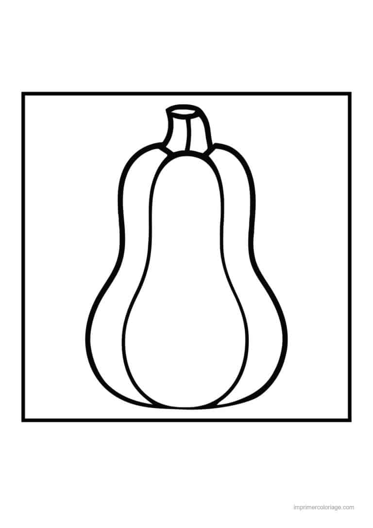 coloriage citrouille potiron courge butternut - dessin gratuit &agrave; imprimer