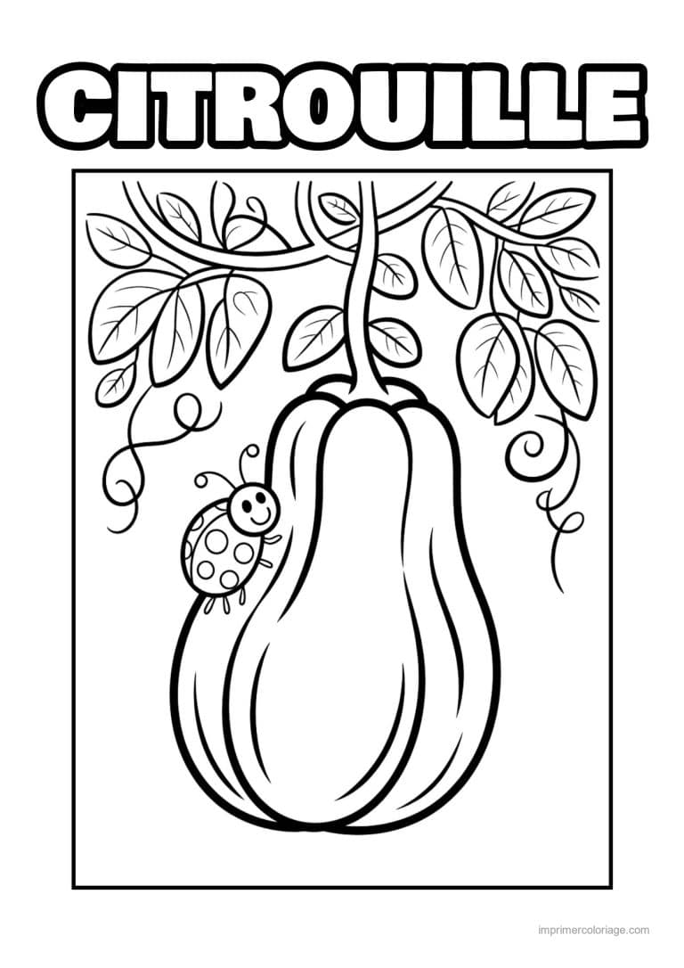 coloriage citrouille potiron courge butternut suspendue - dessin gratuit &agrave; imprimer