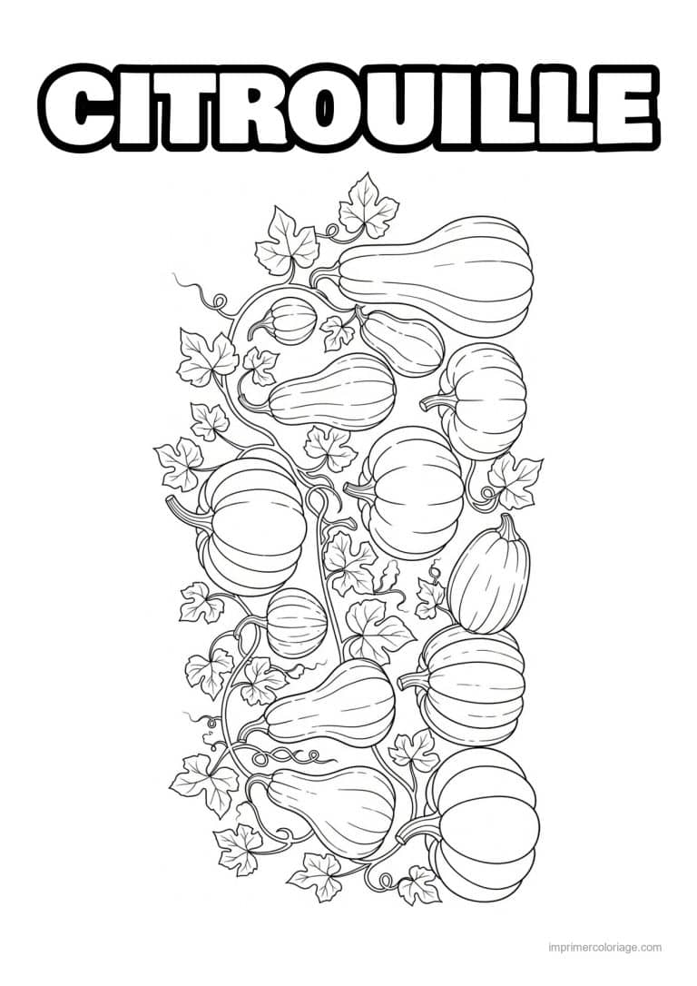 coloriage citrouille potiron courges et potirons - dessin gratuit &agrave; imprimer