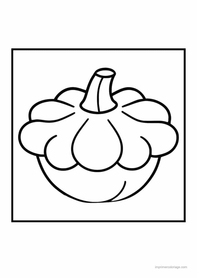 coloriage citrouille potiron patisson - dessin gratuit &agrave; imprimer
