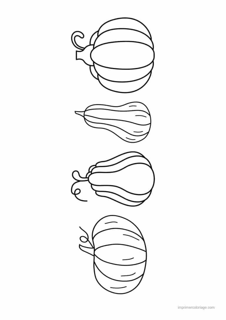 coloriage citrouille potiron quatre petites courges - dessin gratuit &agrave; imprimer
