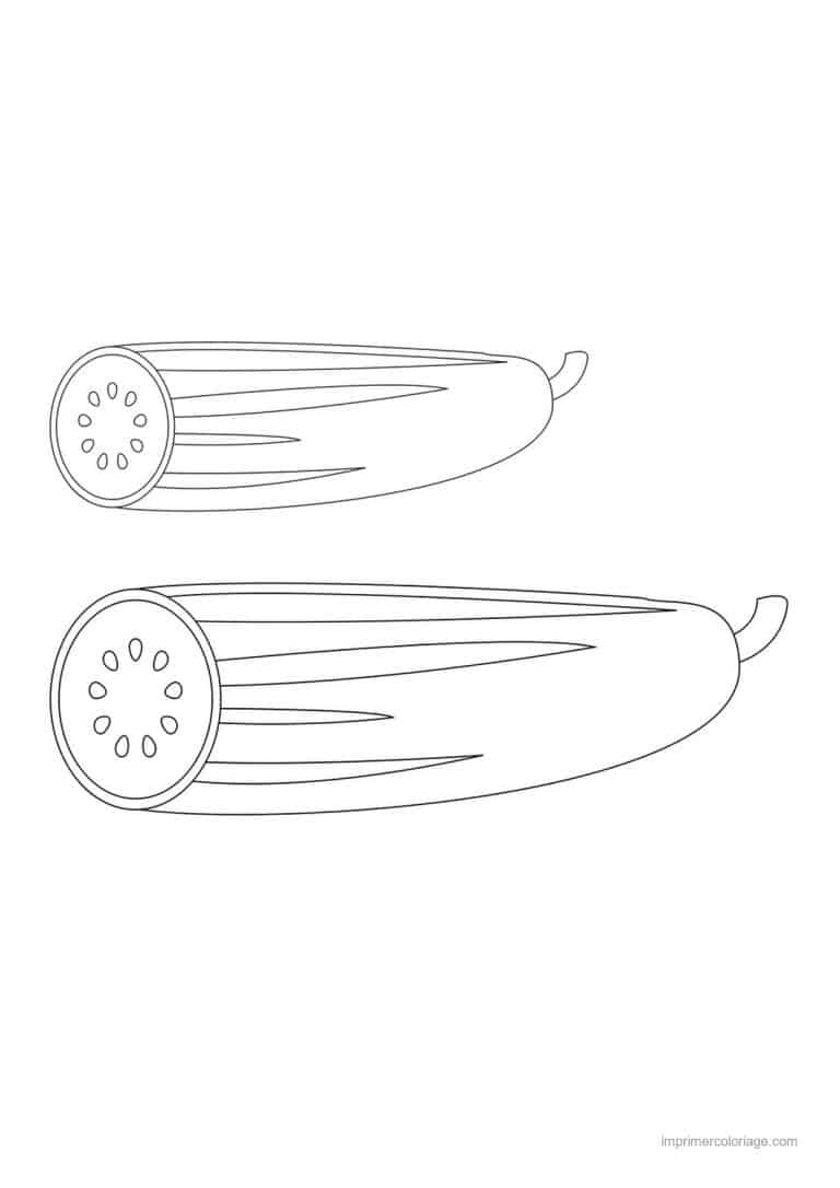 coloriage concombre concombre entier et tranche - dessin gratuit &agrave; imprimer
