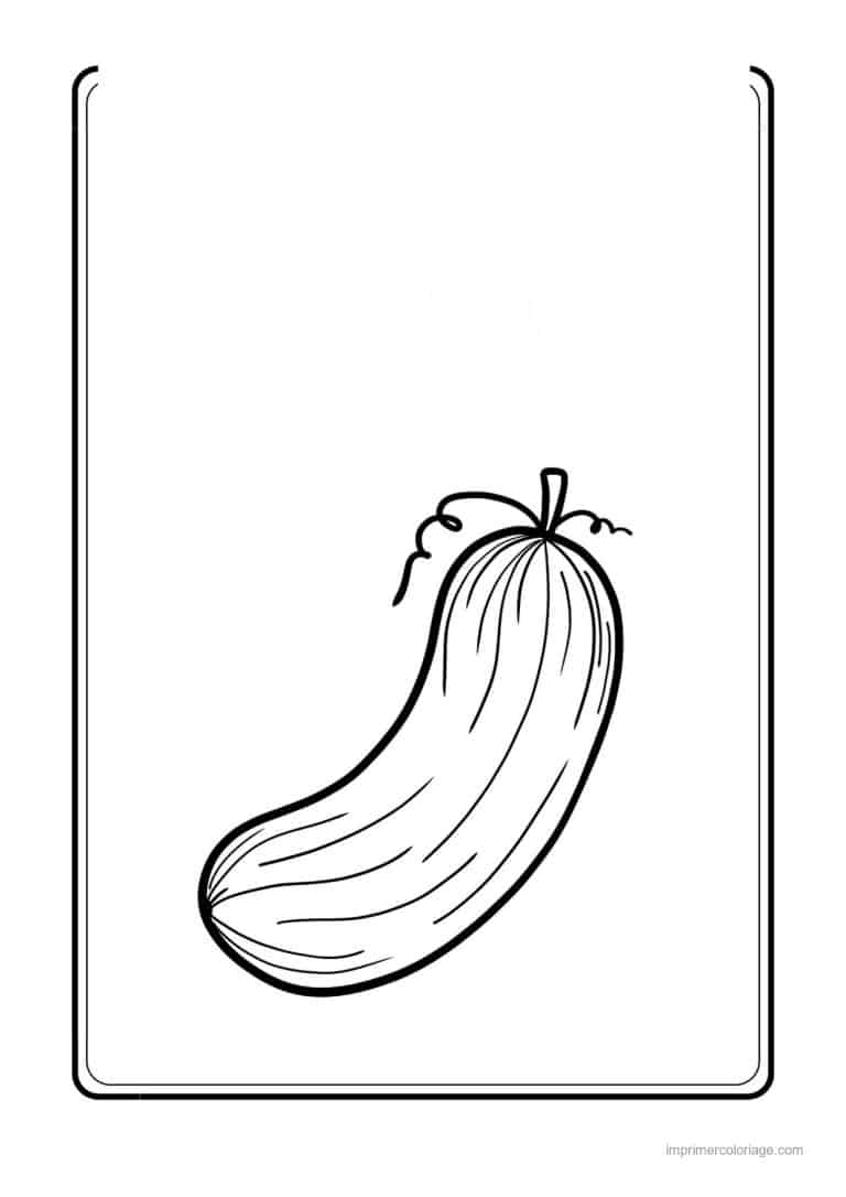 coloriage concombre concombre et sa tige - dessin gratuit &agrave; imprimer