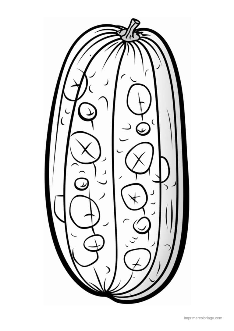 coloriage concombre concombre et ses graines - dessin gratuit &agrave; imprimer