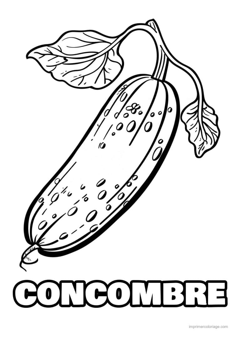 coloriage concombre concombre grave 131 - dessin gratuit &agrave; imprimer
