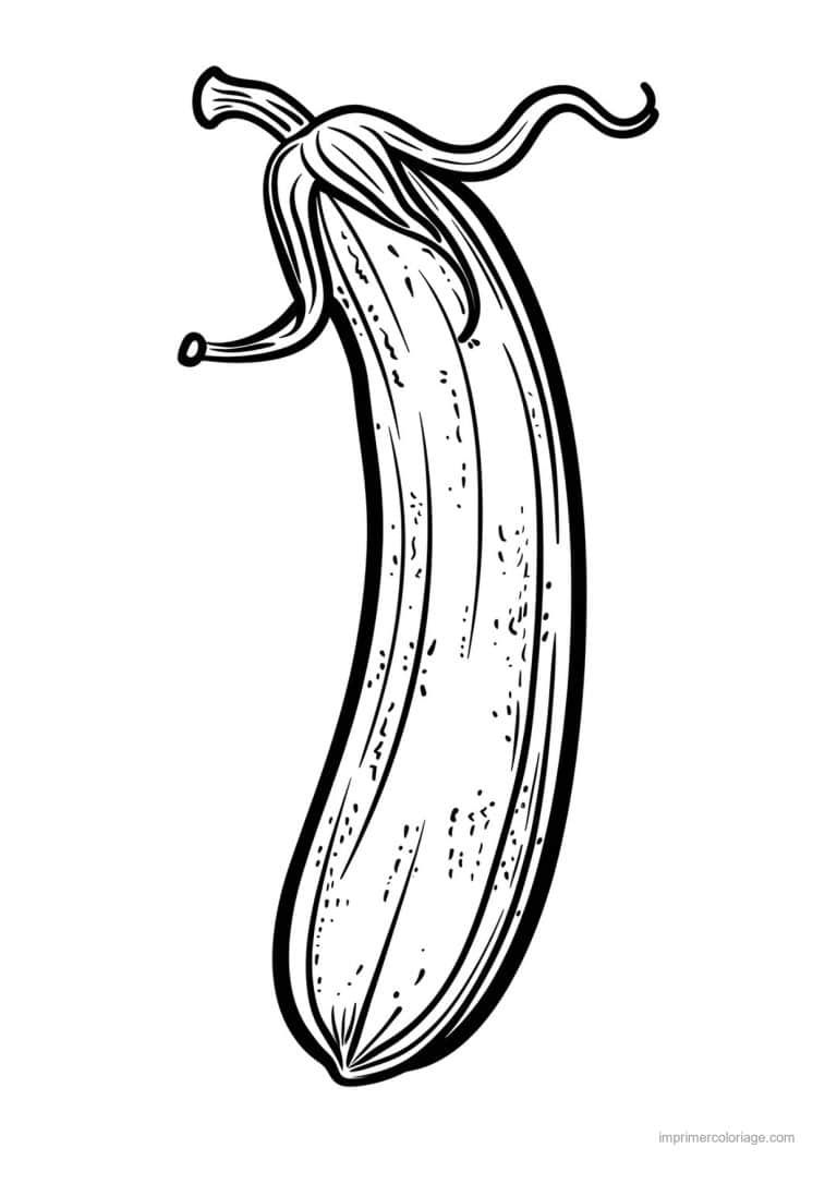 coloriage concombre concombre grave 166 - dessin gratuit &agrave; imprimer