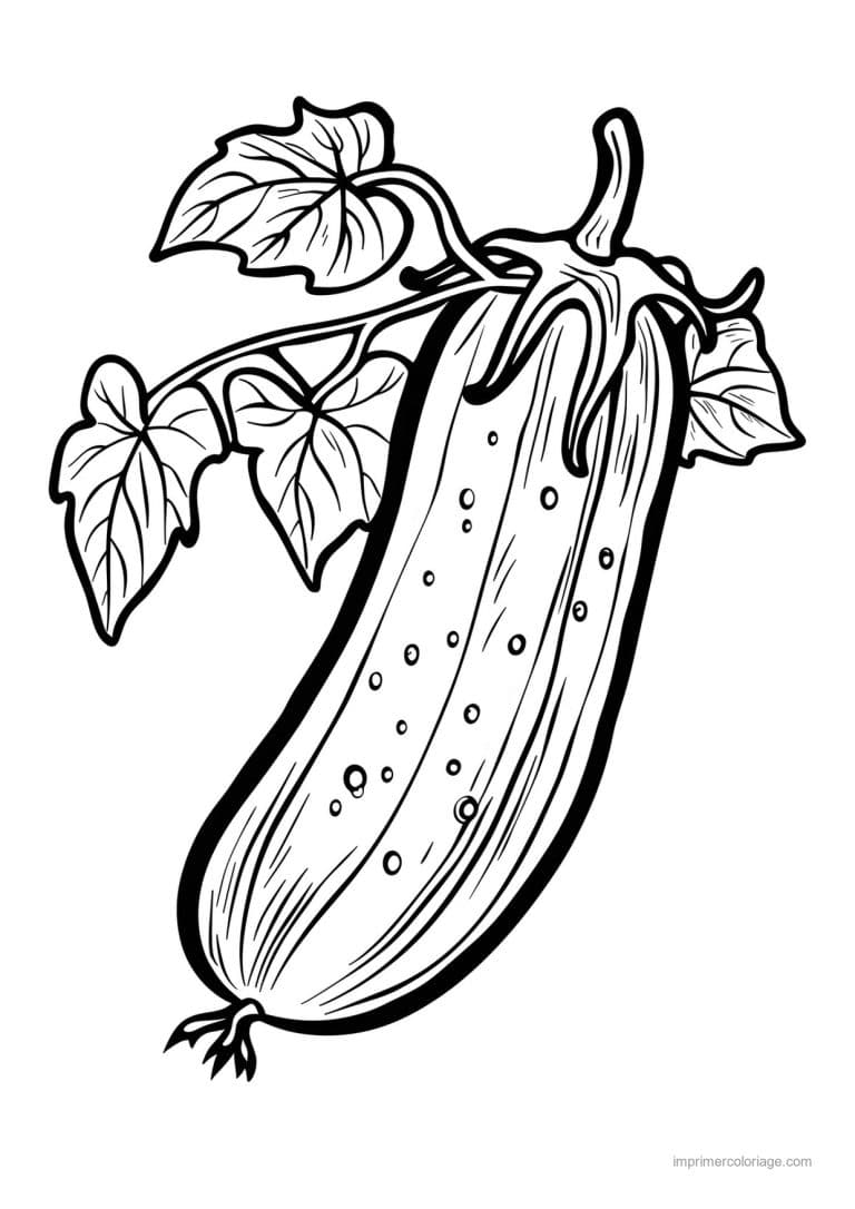 coloriage concombre concombre grave 19 - dessin gratuit &agrave; imprimer