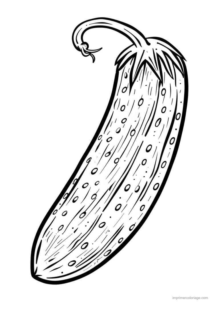 coloriage concombre concombre grave 27 - dessin gratuit &agrave; imprimer