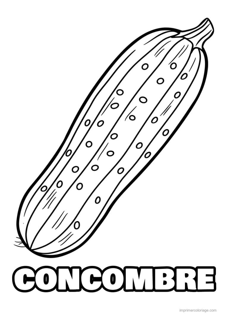 coloriage concombre concombre grave 5 - dessin gratuit &agrave; imprimer