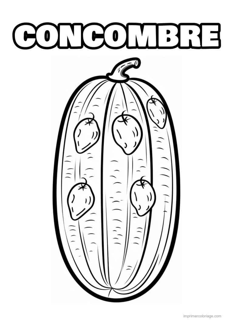 coloriage concombre concombre ouvert et ses graines - dessin gratuit &agrave; imprimer