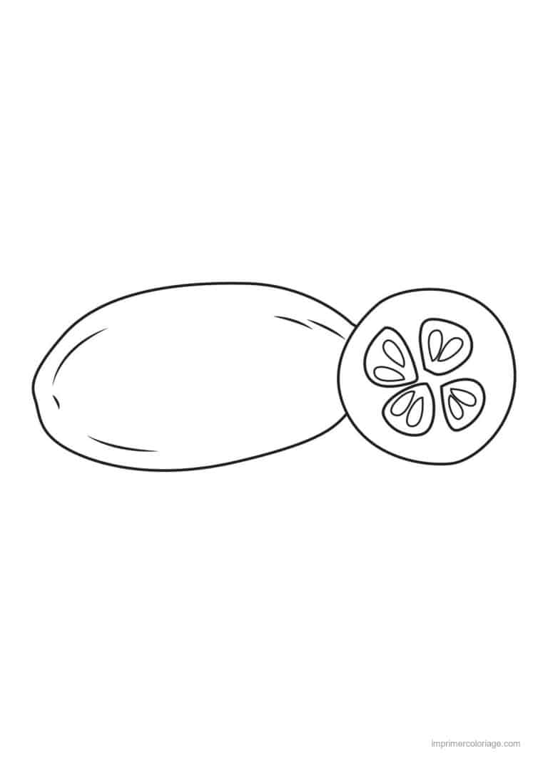 coloriage concombre concombre suri et sa tranche - dessin gratuit &agrave; imprimer