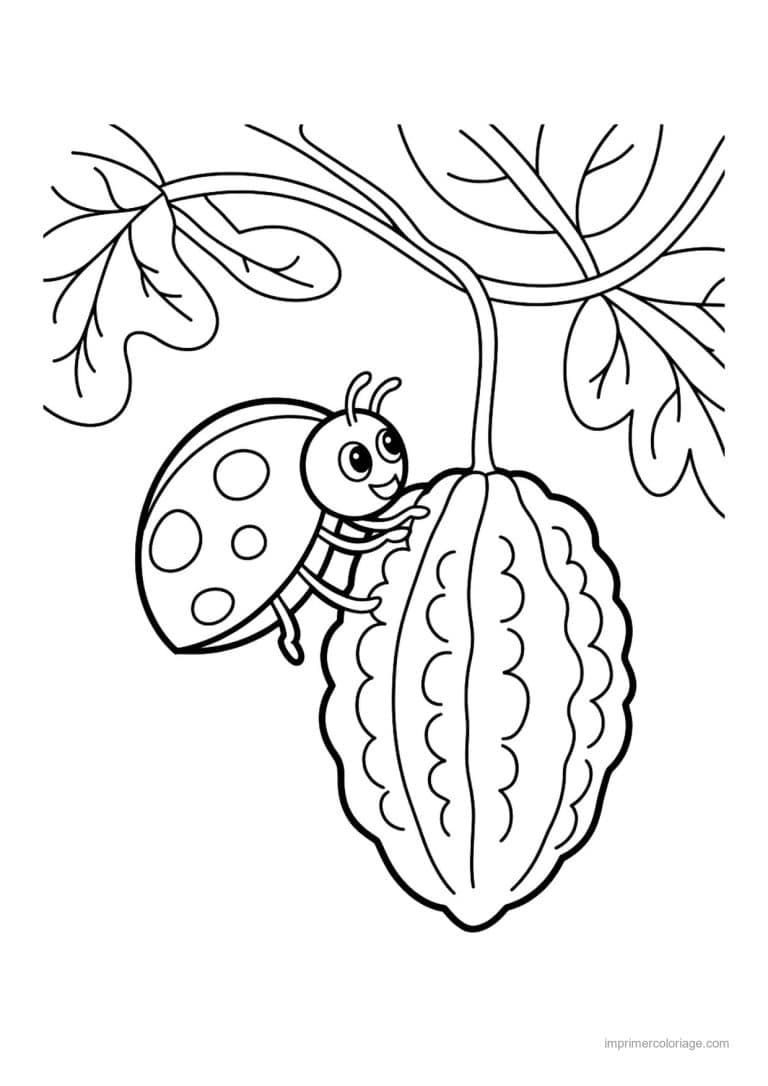 coloriage concombre margose et coccinelle - dessin gratuit &agrave; imprimer