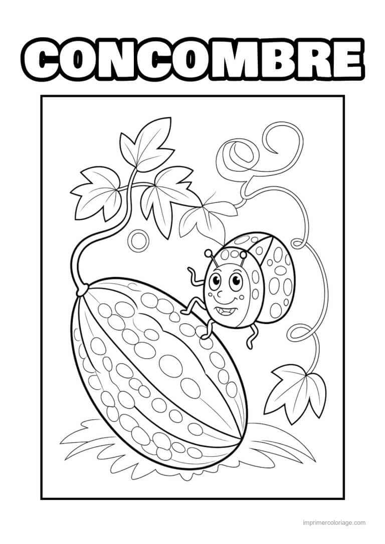 coloriage concombre margose et ses vrilles - dessin gratuit &agrave; imprimer