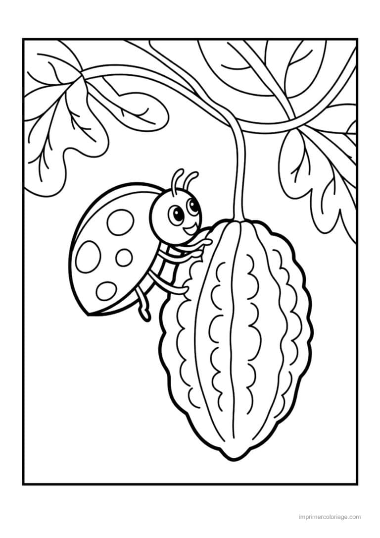 coloriage concombre margose suspendue - dessin gratuit &agrave; imprimer