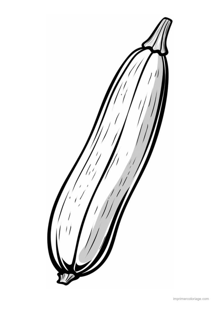 coloriage courgette courgette allongee - dessin gratuit &agrave; imprimer