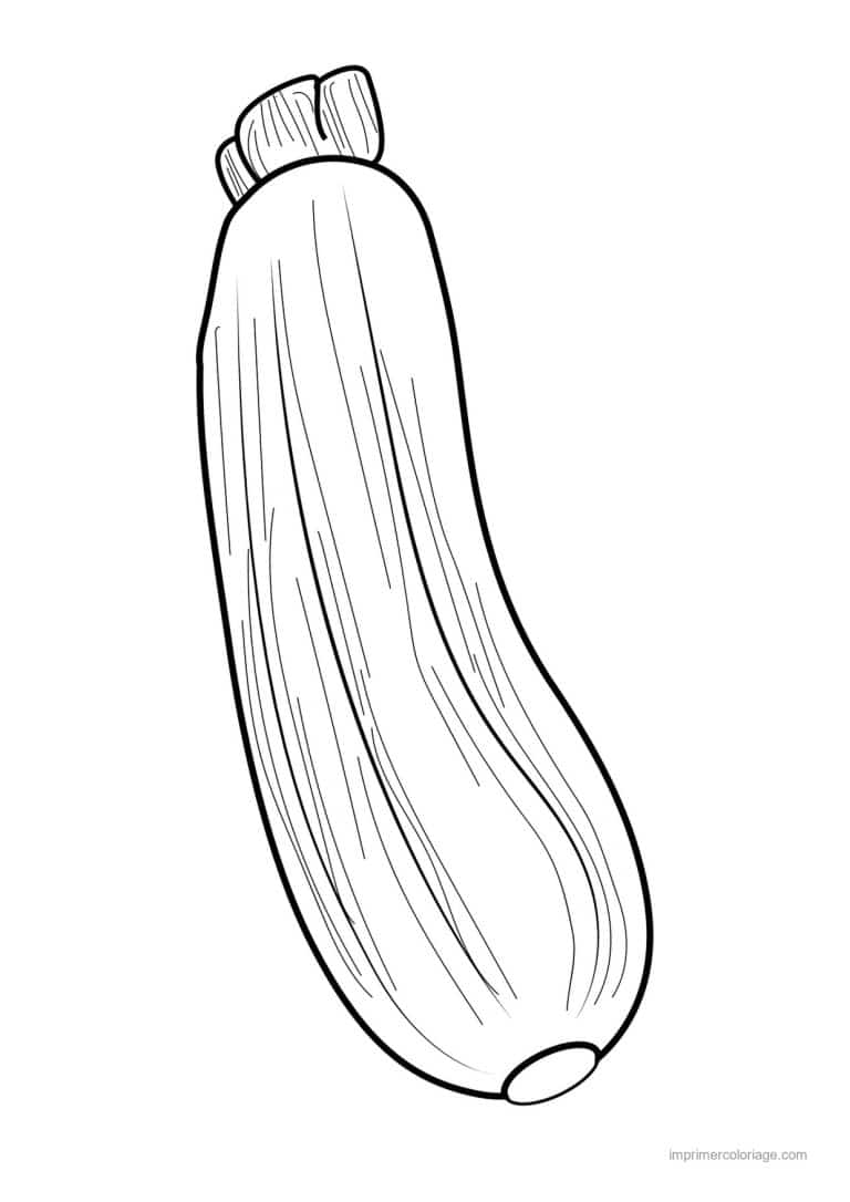 coloriage courgette courgette au trait epais 2 - dessin gratuit &agrave; imprimer