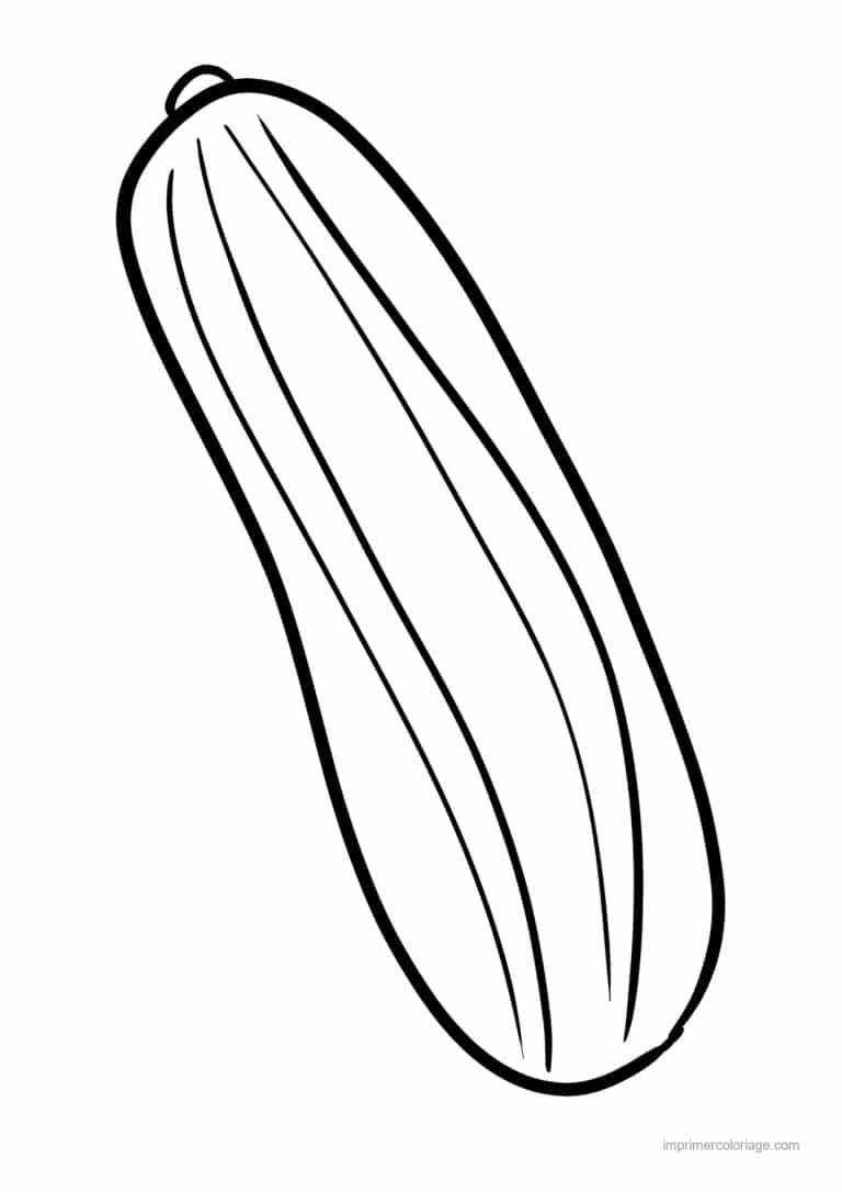 coloriage courgette courgette au trait epais - dessin gratuit &agrave; imprimer