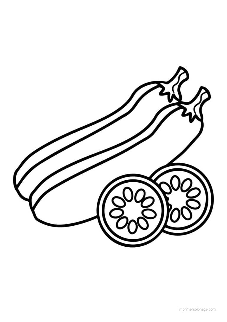 coloriage courgette courgette entiere et rondelles - dessin gratuit &agrave; imprimer