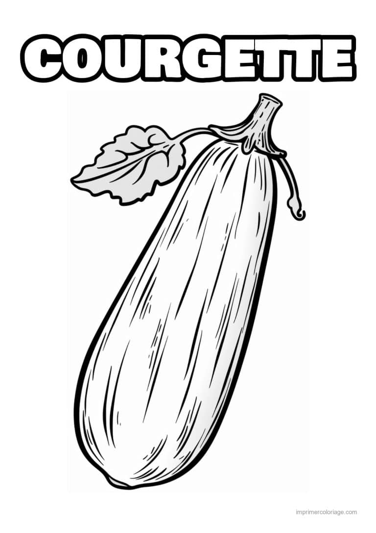 coloriage courgette courgette et sa feuille - dessin gratuit &agrave; imprimer