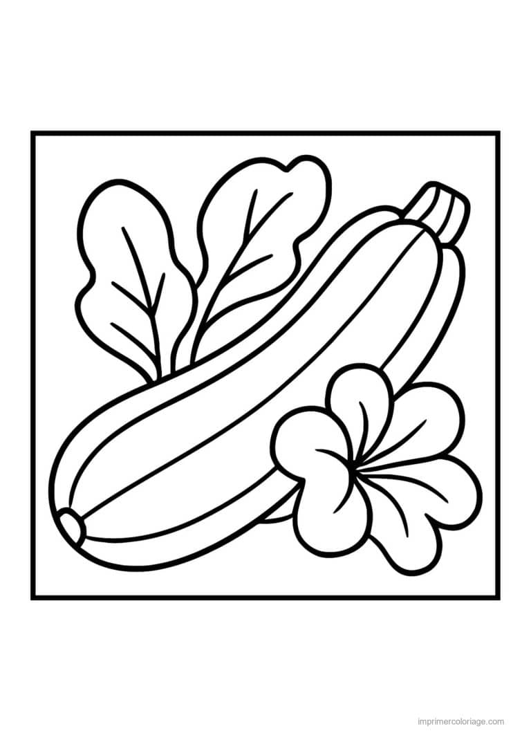 coloriage courgette courgette et sa fleur - dessin gratuit &agrave; imprimer