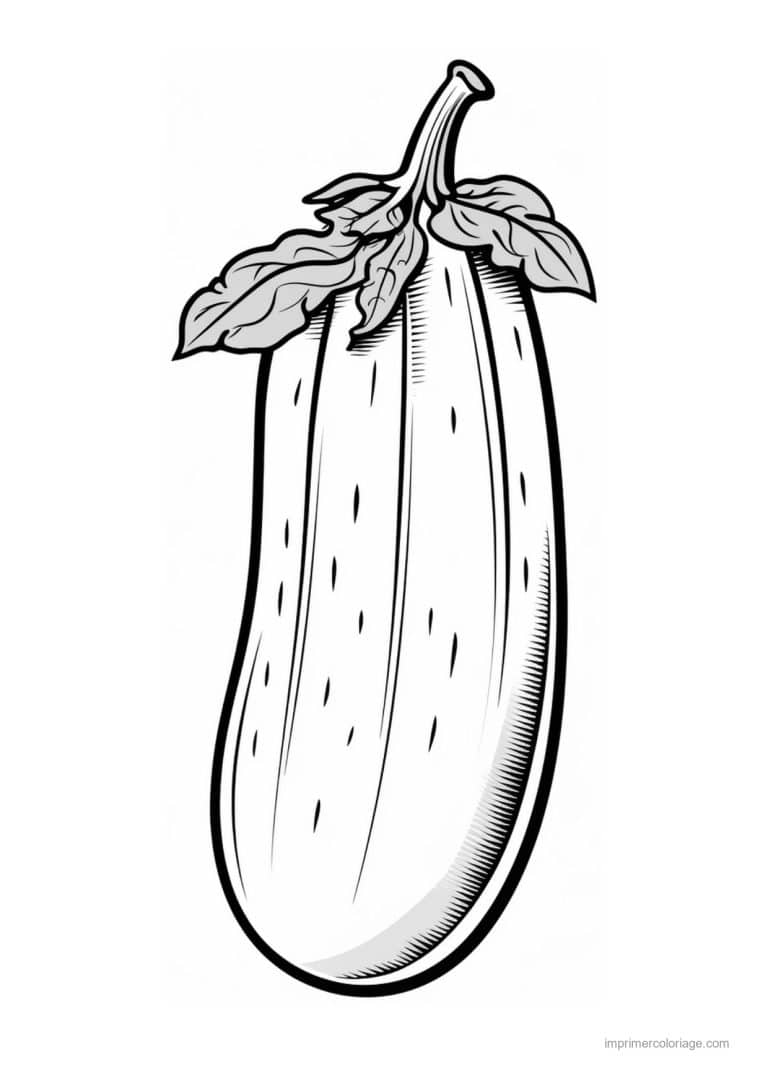 coloriage courgette courgette et ses feuilles 2 - dessin gratuit &agrave; imprimer