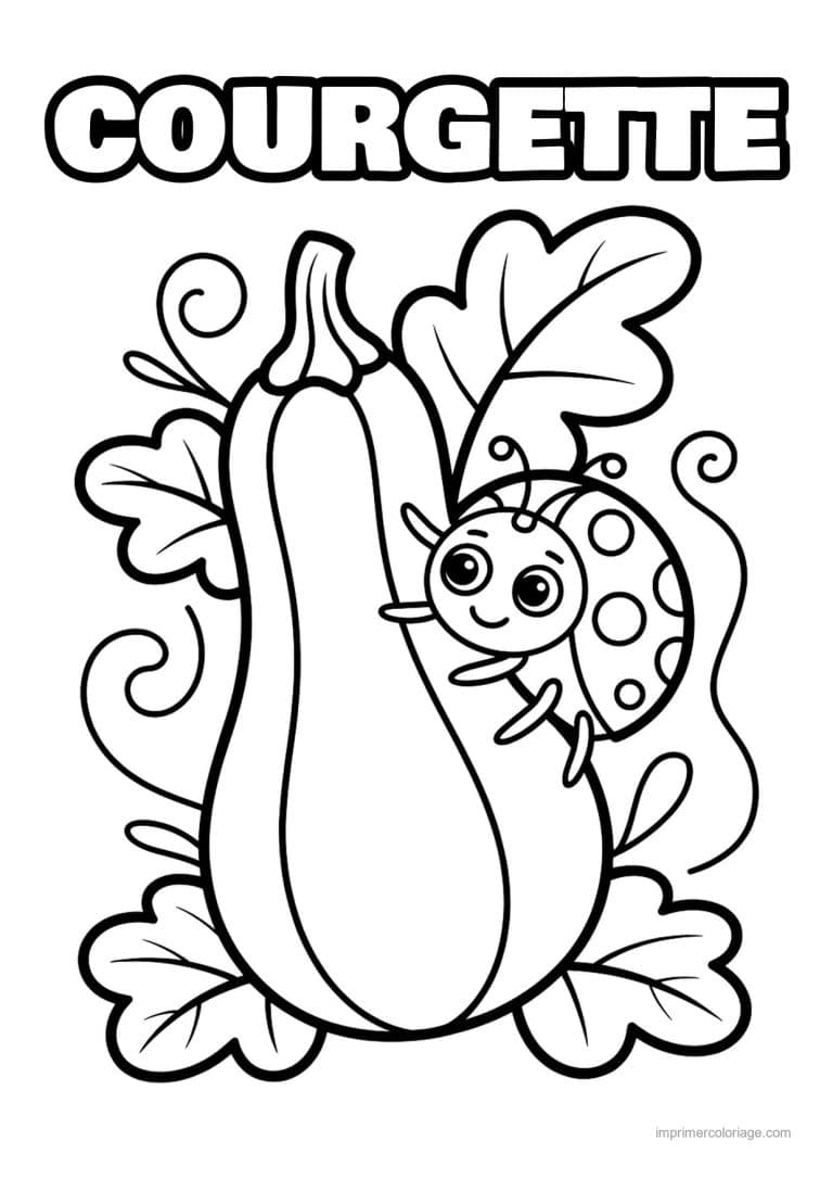 coloriage courgette courgette et ses feuilles - dessin gratuit &agrave; imprimer