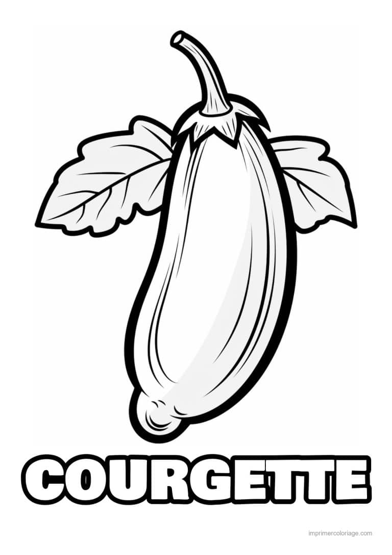coloriage courgette courgette et ses feuilles dentees - dessin gratuit &agrave; imprimer