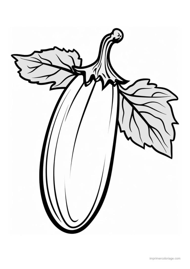coloriage courgette courgette et ses grandes feuilles - dessin gratuit &agrave; imprimer