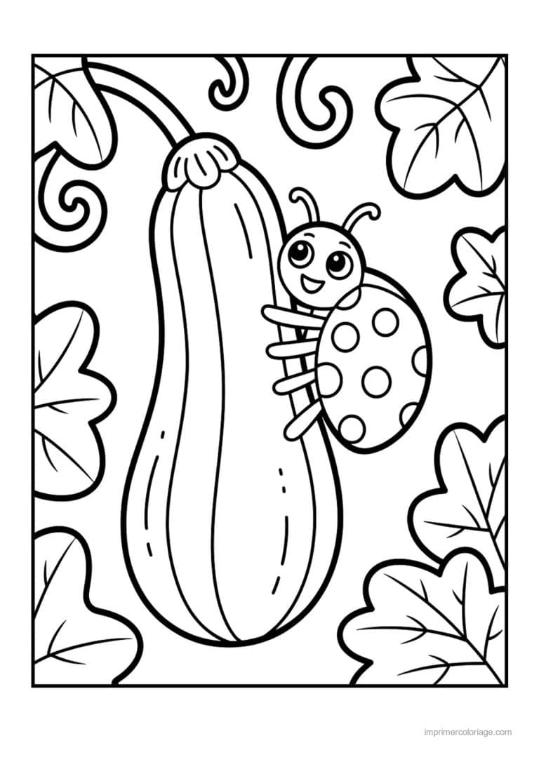 coloriage courgette courgette et ses vrilles - dessin gratuit &agrave; imprimer