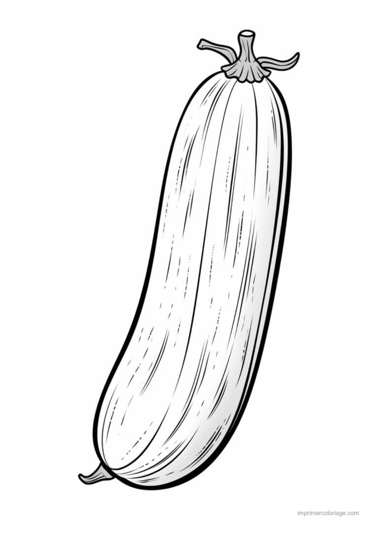 coloriage courgette courgette fine - dessin gratuit &agrave; imprimer