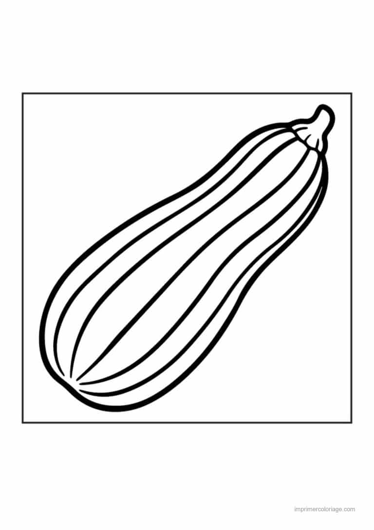 coloriage courgette courgette longue - dessin gratuit &agrave; imprimer