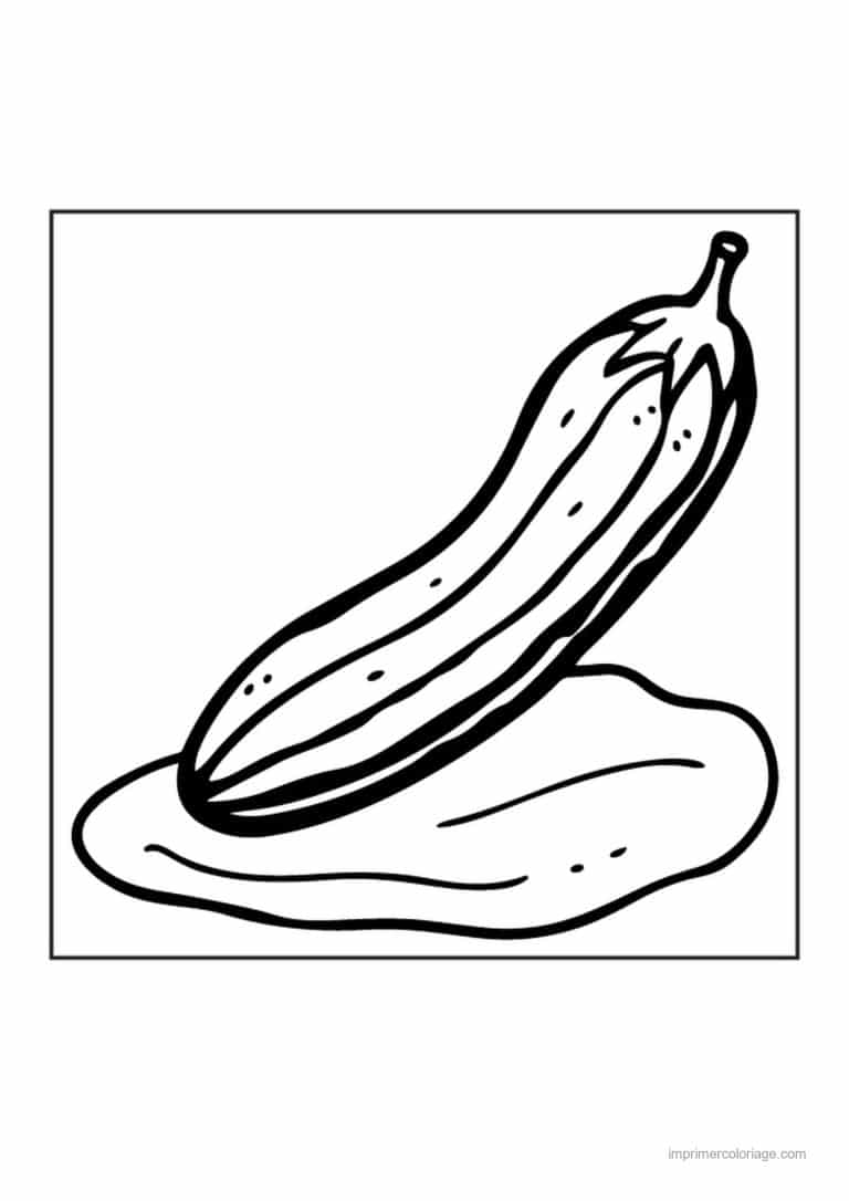coloriage courgette courgette posee au sol - dessin gratuit &agrave; imprimer