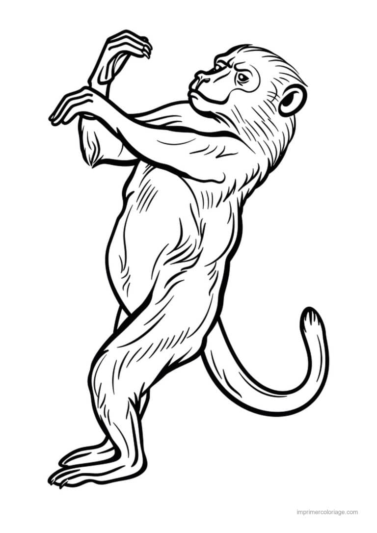 coloriage danse animal qui danse 04 - dessin gratuit &agrave; imprimer
