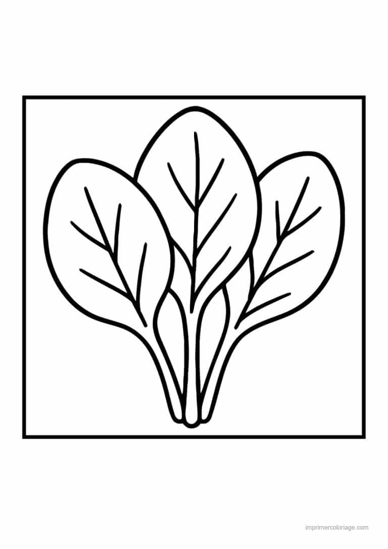coloriage epinard blette bouquet d epinards - dessin gratuit &agrave; imprimer
