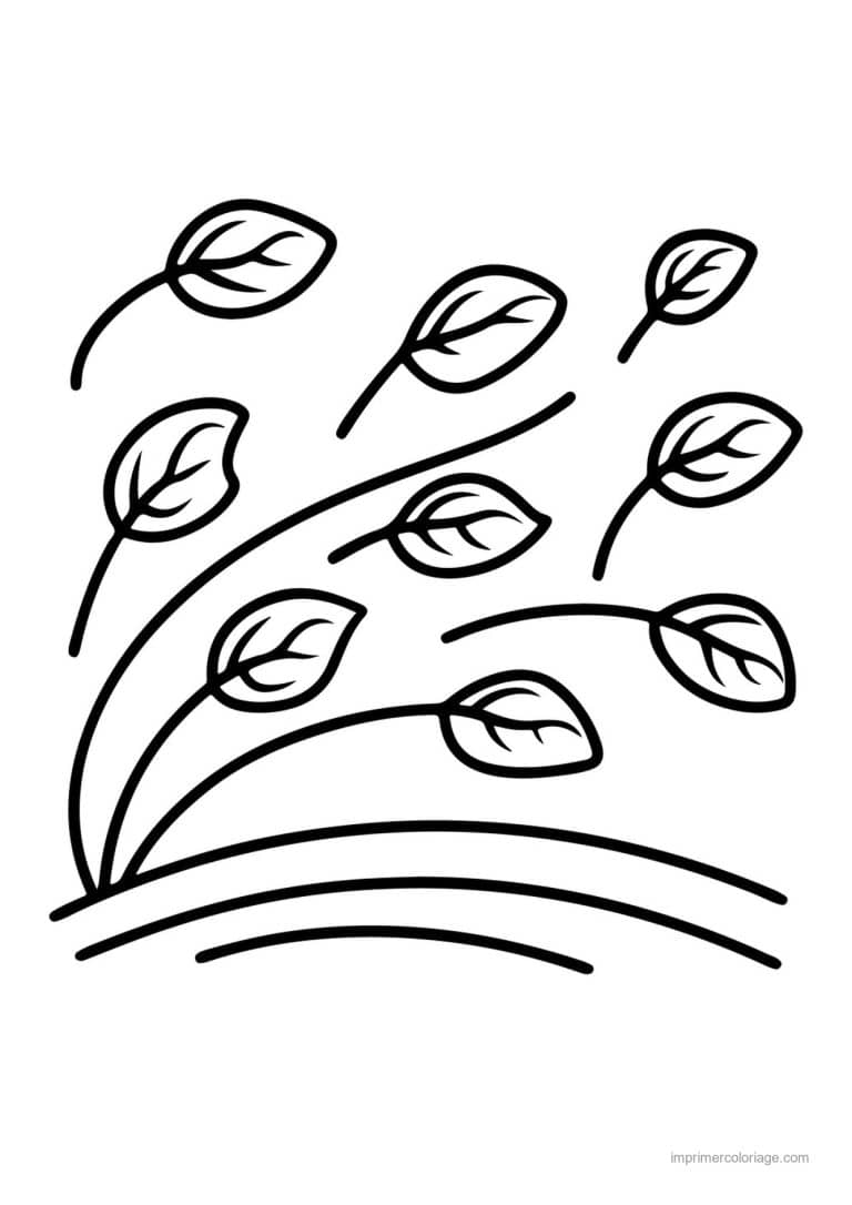 coloriage epinard blette branches de feuilles vertes - dessin gratuit &agrave; imprimer