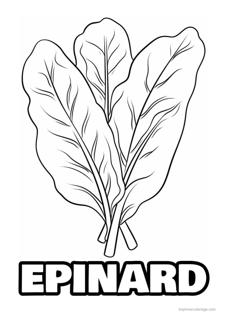 coloriage epinard blette trois feuilles d epinard - dessin gratuit &agrave; imprimer