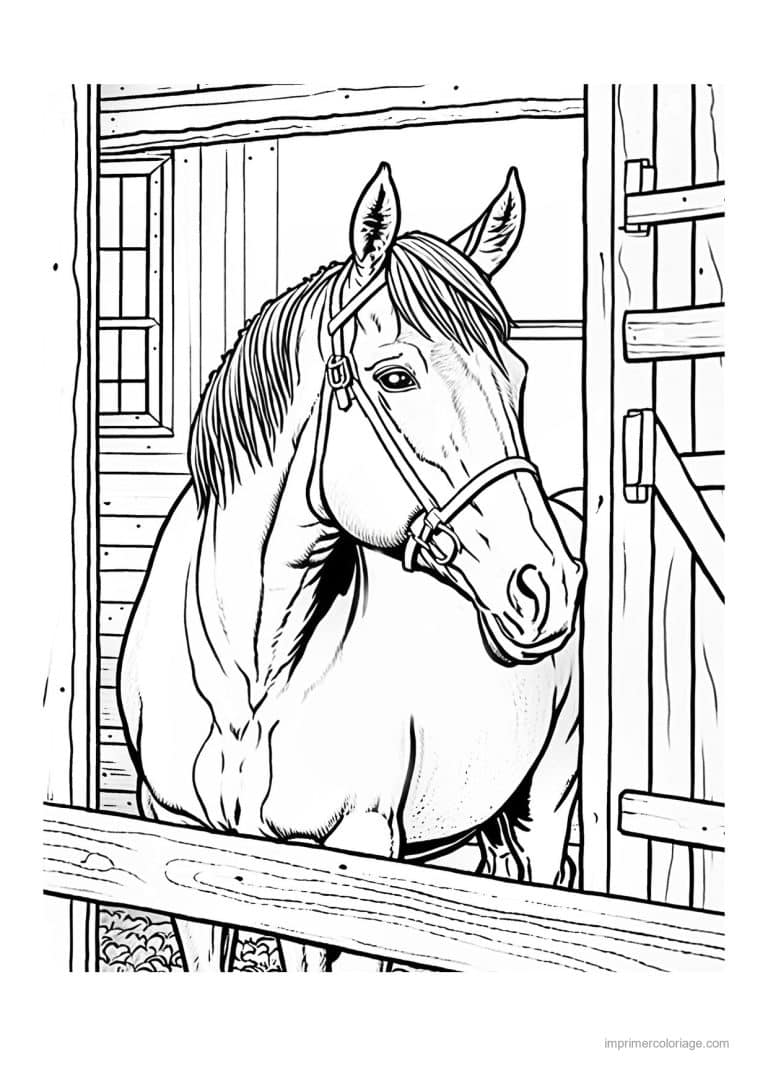 coloriage equitation cavalier 24 - dessin gratuit &agrave; imprimer