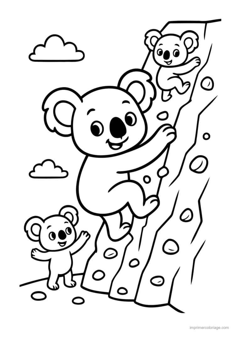coloriage escalade koalas mur escalade - dessin gratuit &agrave; imprimer