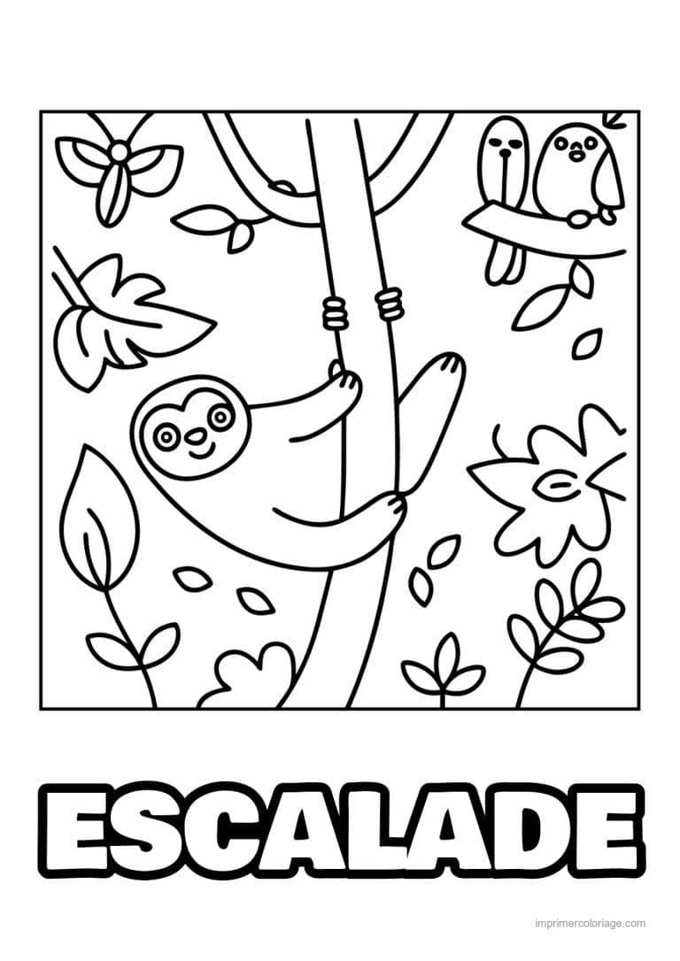 coloriage escalade paresseux arbre - dessin gratuit &agrave; imprimer