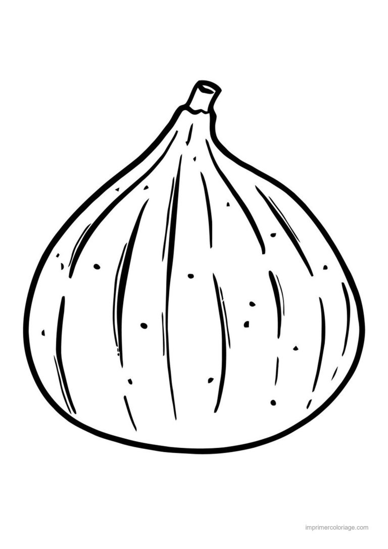 coloriage figue figue entiere - dessin gratuit &agrave; imprimer