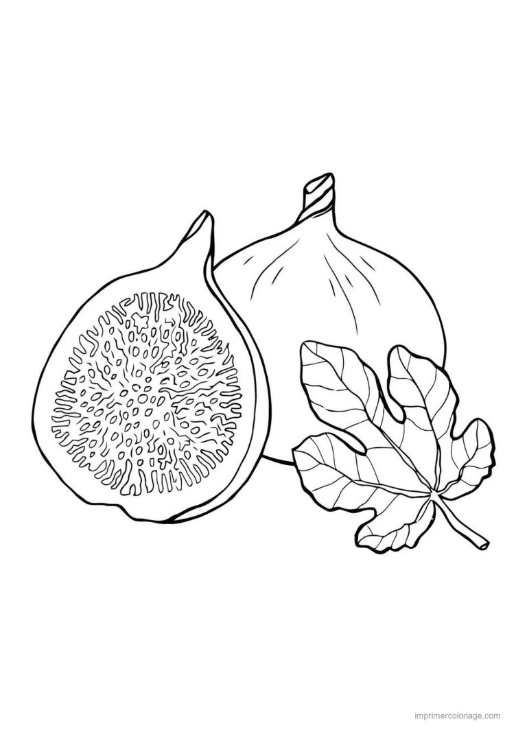 coloriage figue figues entiere et coupee 3 - dessin gratuit &agrave; imprimer